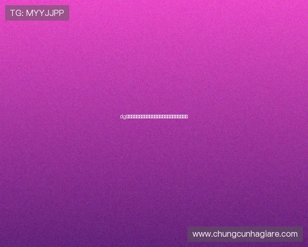 dg视讯真人如何保障玩家资金安全与隐私保护的详细指南