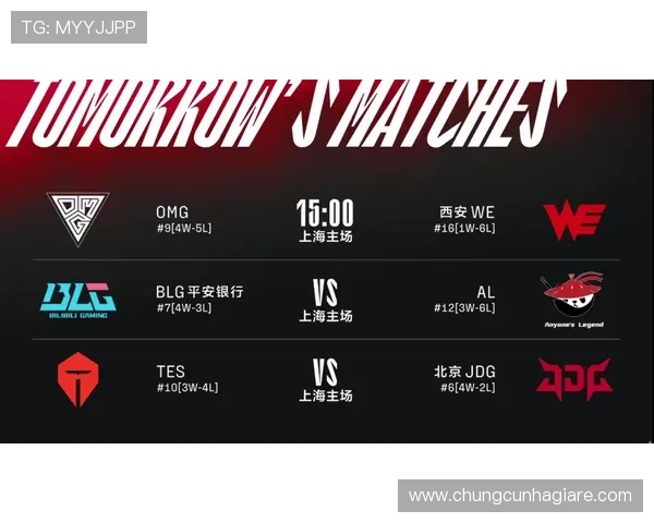 wm真人怎么样赢率高吗，专业玩家实战经验与技巧分享