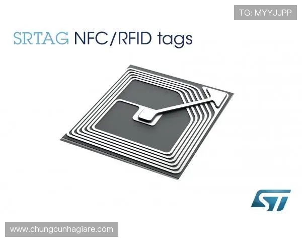 解决AG厅总部会员登录常见问题，提供详细排查方法和安全登录技巧保障账号安全