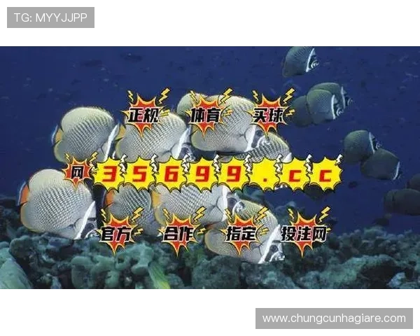掌握bg视讯厅官方网站最新优惠活动与返水政策，提升您的线上游戏盈利机会