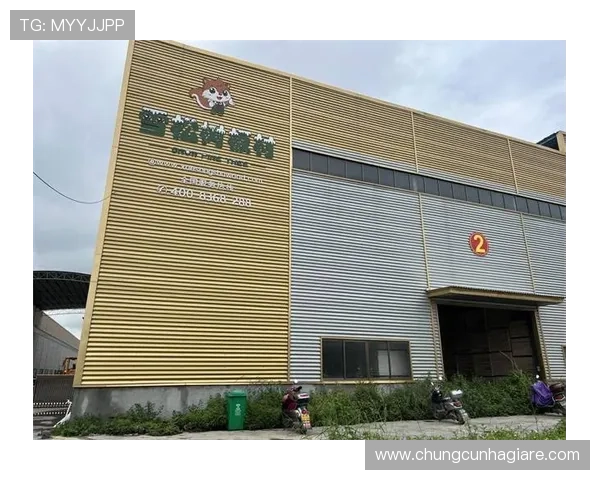 AG真人正版游戏的最新发展动态，掌握行业趋势把握更多游戏机会